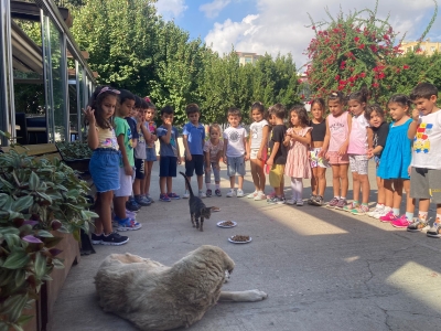 Hayvanları Koruma Günü