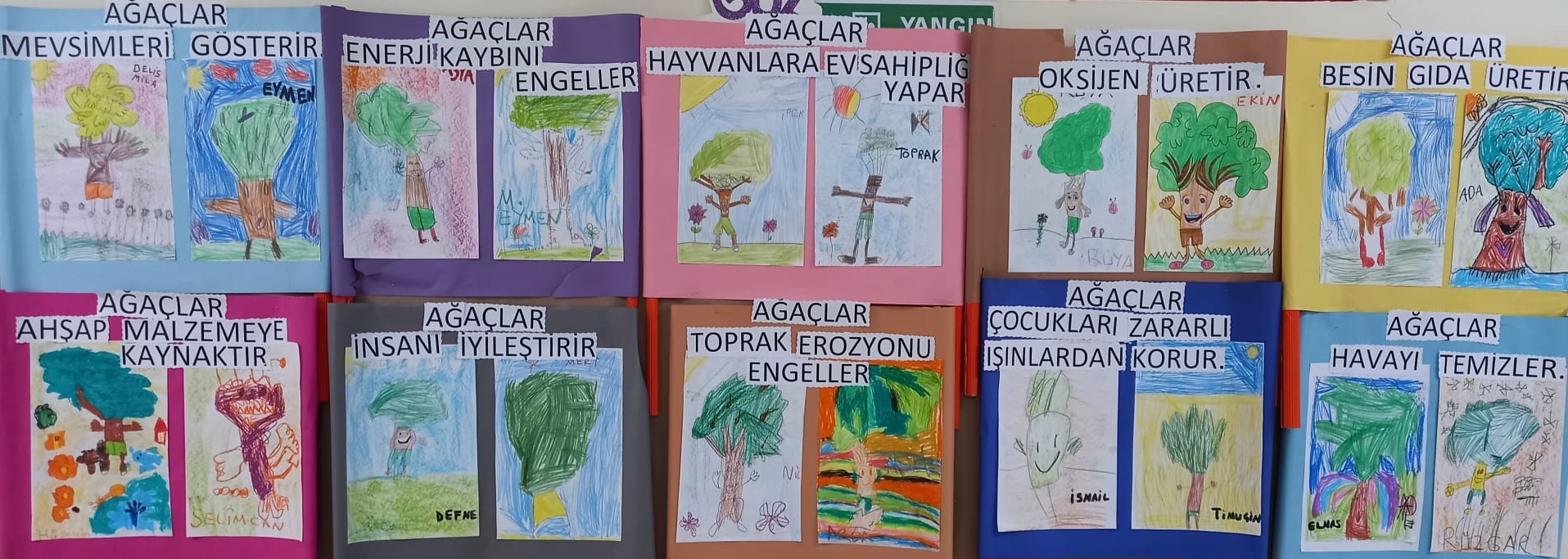 Orman Haftası